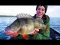 Dropshot and Lure Fishing for Perch - FULL GUIDE