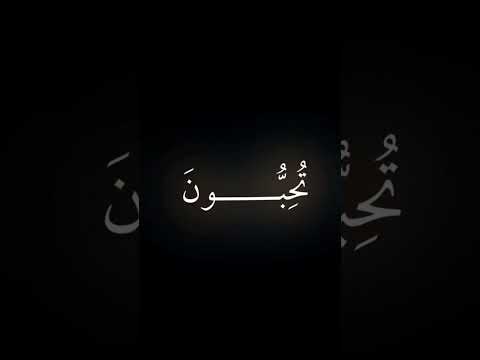 وعصيتم من بعد ما اراكم ما تحبون المنشاوي