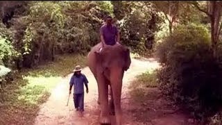 Thailand from the perspective of Vir Sanghvi