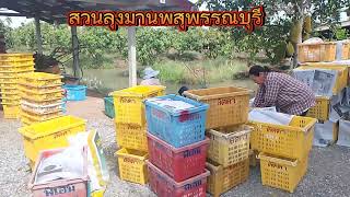 #เกษตรเงินล้าน  เขาทำกันยังไง