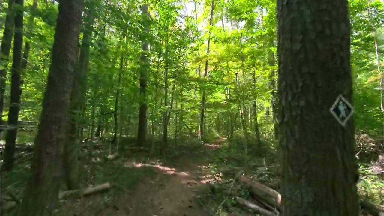 [WalkWithMe] Mayo River State Park(Mayo Mountain Loop Trail), Mayodan