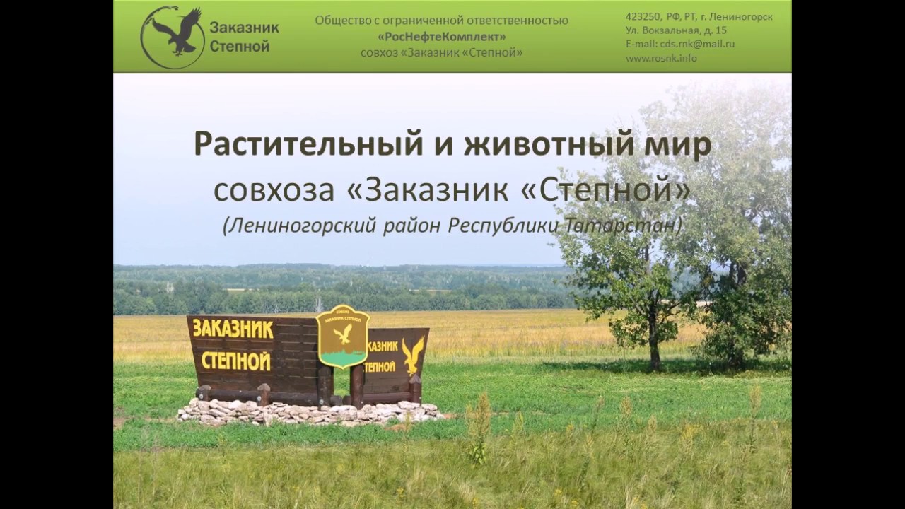 Флора и фауна совхоза «Заказник «Степной»