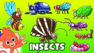 Learn Insects and Bugs for kids | Animals for kids | Club Baboo