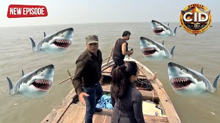 Shark से भरे समुन्दर में फस गई जब CID Team || CID | TV Serial Latest Episode