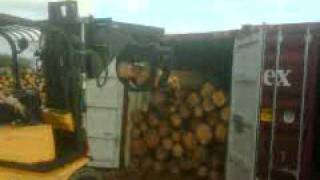 Stuffing pine logs