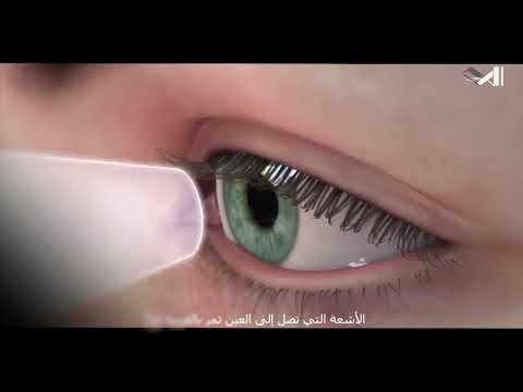 روعة الخلق الرؤية ومعجزة الألوان كيف يتم انتقال الإشارات الضوئية وتفسيرها في الدماغ
