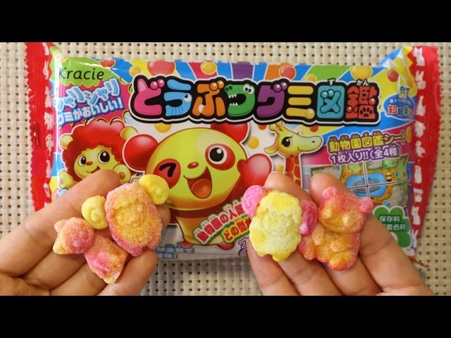 Kracie Animal Shaped Gummy Making Kit どうぶつグミ図鑑 - YouTube