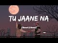 Tu Jaane Na [Slowed+Reverb] - Atif Aslam | Lyrics I LateNight Vibes