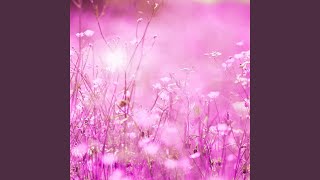 Awesome Timeless Pleasures