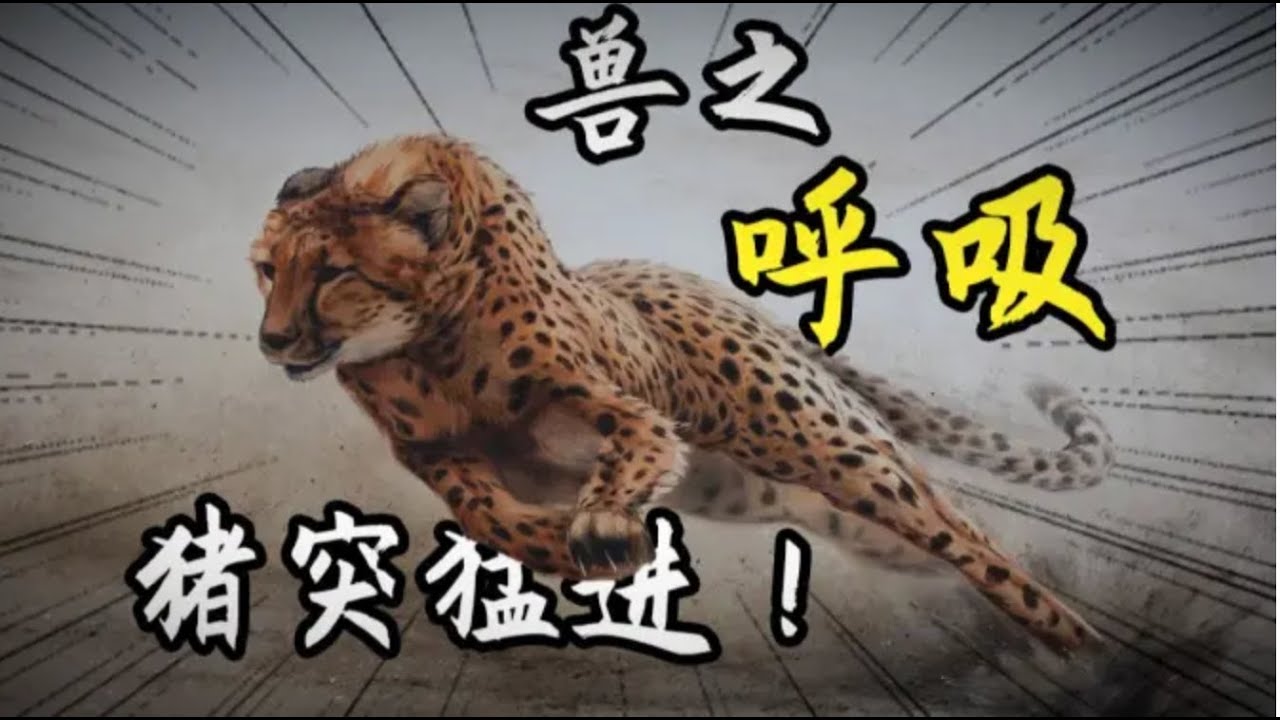 【鬼谷说】肺的演化（其二）：福息？祸息？