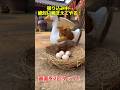 過去イチの張り込み現場。