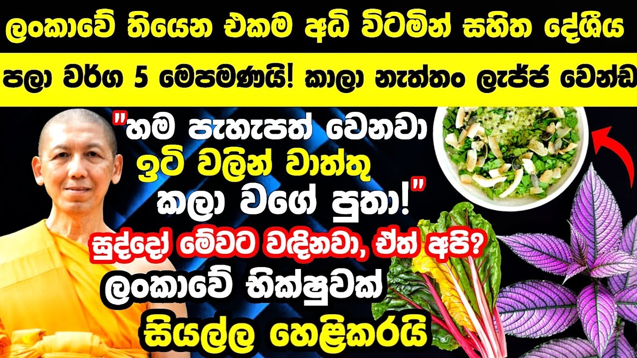 🔴යකෝ මෙචිචර විටමින්😲? මේ පලා වර්ග කාලා නැත්තං ලැජ්ජ වෙන්ඩ 