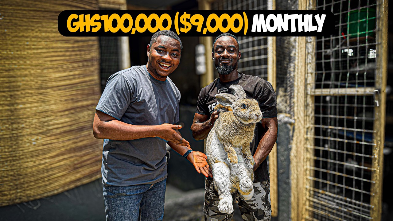 How a Young Ghanaian Makes Millions From Rabbit Farming in Ghana - YouTube