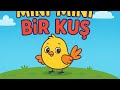 Mini Mini Bir Kuş söylüyor okul öncesi eğitici içerik 🐤