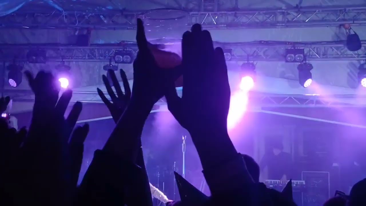 VIIVI LIVE 2025 SIERAVUORI