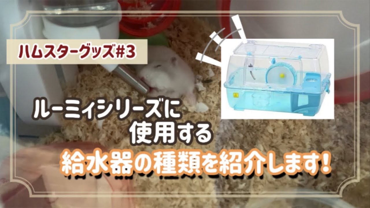 ルーミィシリーズに使用する給水器を紹介します！【ハムスター】 - YouTube
