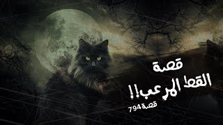 794 - قصة القط الأسود!!