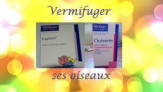 [Soins] VERMIFUGER SON OISEAU | Quand, comment, pourquoi, avec quoi ?