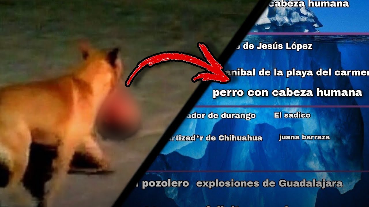 Iceberg De Casos Ocurridos En mexico | Parte 4