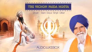 Download lagu Giani Daya Singh Dilber - Teg Vichon Paida Hoeya Jukebox mp3