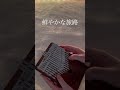 『FAIRY TAIL』鮮やかな旅路(森 恵)/Kalimba cover#shorts