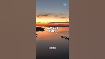 The Amazon River: The World