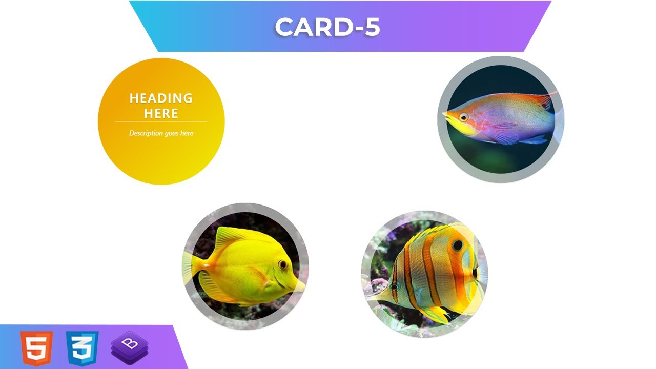 Learn how to create this four responsive circle cards hover effect step ...