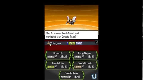 How Nincada evolves into Ninjask & Shedinja - Pokémon White 2 (Tutorial)