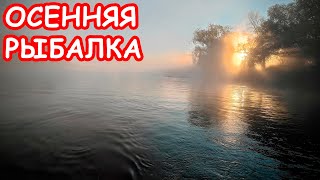 ЛОВЛЯ ЩУКИ ОСЕНЬЮ. ПРИМАНКИ НА ЩУКУ. РЫБАЛКА НА СПИННИНГ