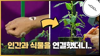 이종간 연결 성공? 인간과 식물을 연결해서 움직여 보았다.