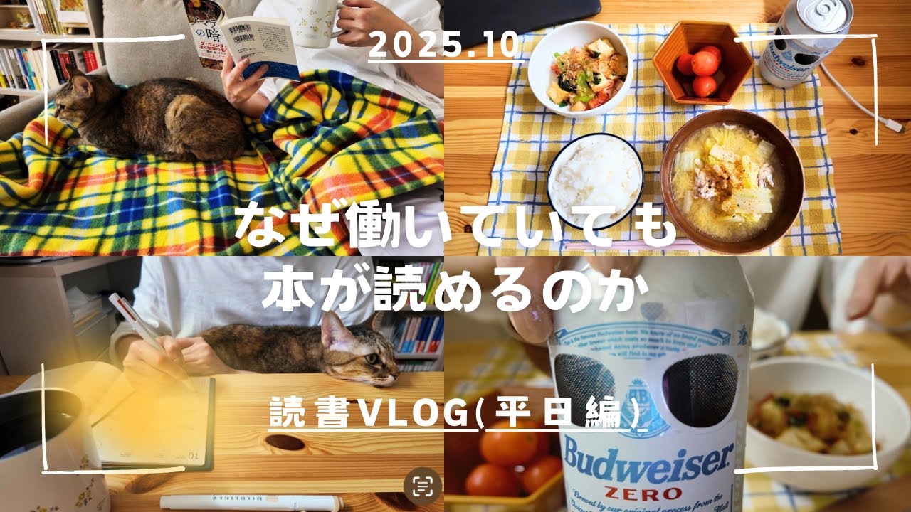 【読書vlog】社会人の帰宅後🏠しゃべる😼読書したくても眠い時は寝るよね😪