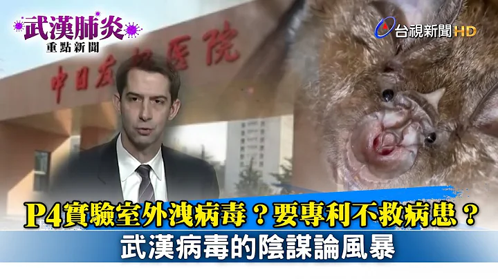 P4实验室外泄病毒？要专利不救病患？武汉肺炎病毒的阴谋论风暴【武汉肺炎重点新闻】 - 天天要闻