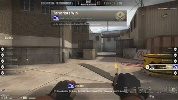 Alt Pug CSGO Awp Ace