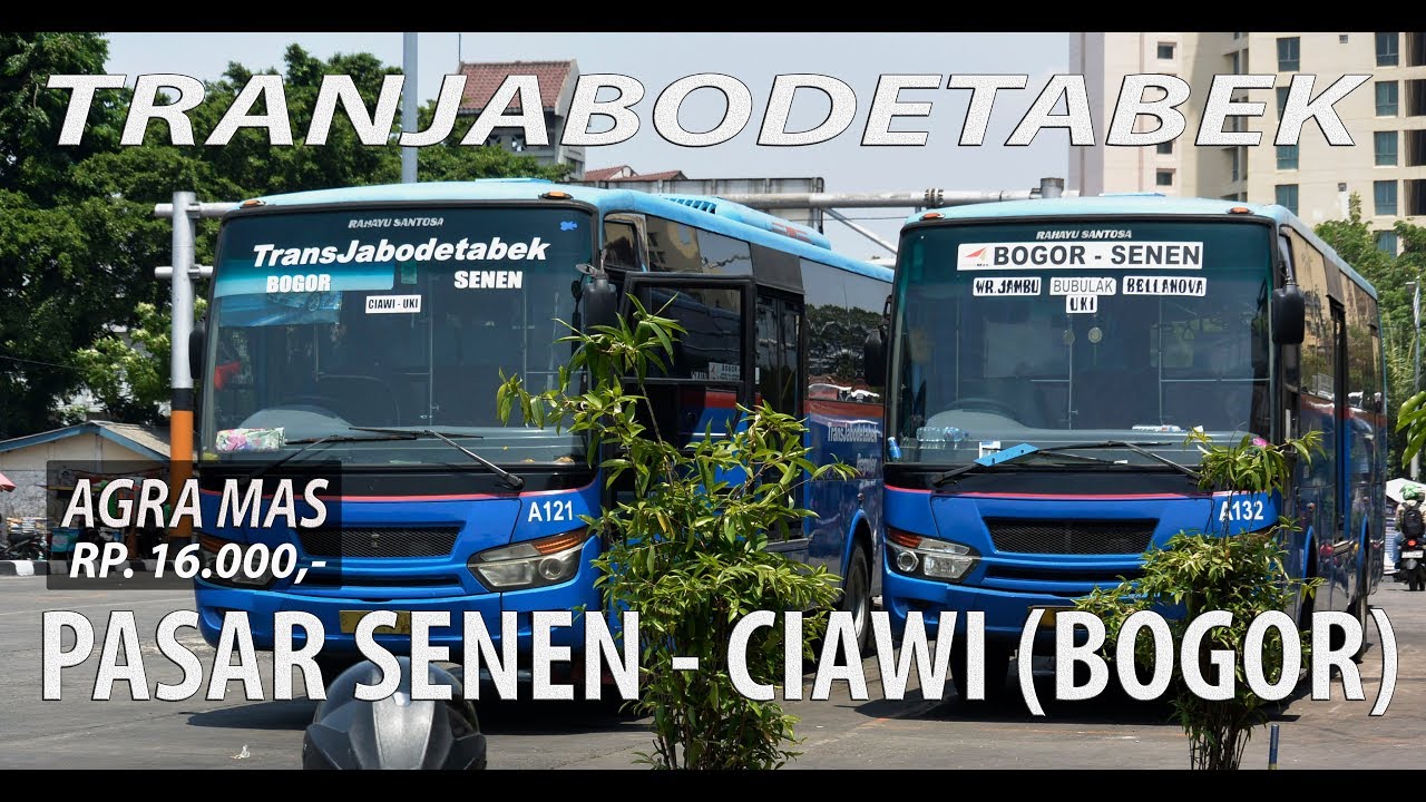 TRIP REPORT TRANSJABODETABEK | PASAR SENEN - CIAWI ( bogor ) AGRA MAS