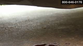 Dodge Transmission Leak Repair Fluid Flush Service Augusta Thomson GA