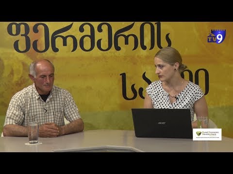 \"ფერმერის საათი\" – მსხვილფეხა რქოსანი პირუტყვის დაავადებები