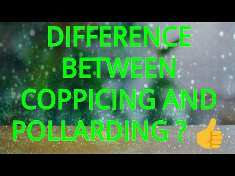Video: Ce înseamnă polarding în geografie?
