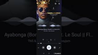 tns-ayabonga-ft-le-soul-bonus-track