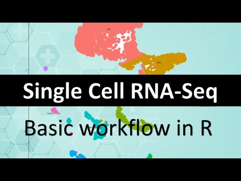 Video: Ein Tiefes Kontradiktorisches Variations-Autoencoder-Modell Zur Verringerung Der Dimensionalität In Der Einzelzell-RNA-Sequenzierungsanalyse
