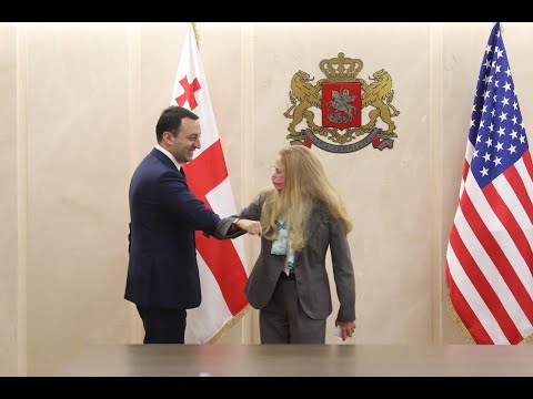 ირაკლი ღარიბაშვილი აშშ-ის ელჩს შეხვდა