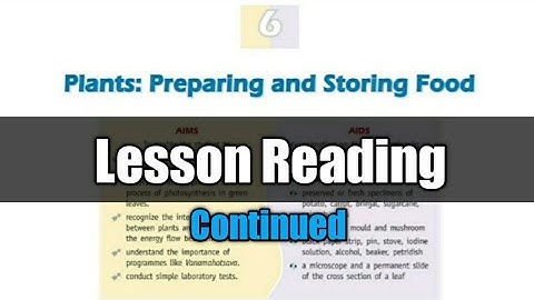 Class 4 | Plants : Preparing and Storing Food - Reading (Contd.)