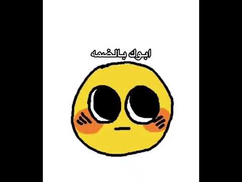 لما اعلم كيلوا العربي واستغل الفرصه 