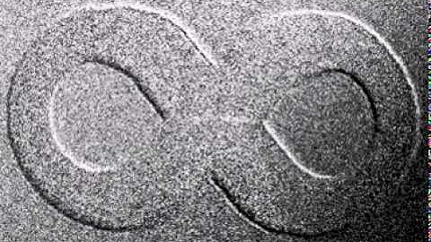 Domain Wall Dynamics