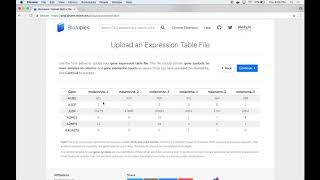 Celebrity BioJupies Tutorial Part 3 of 8 - Analyzing Processed RNA seq Wealth