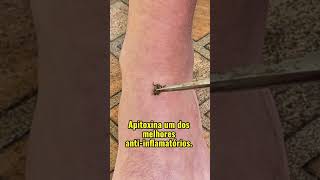 #apitoxina #mel #abelha #apicultor
