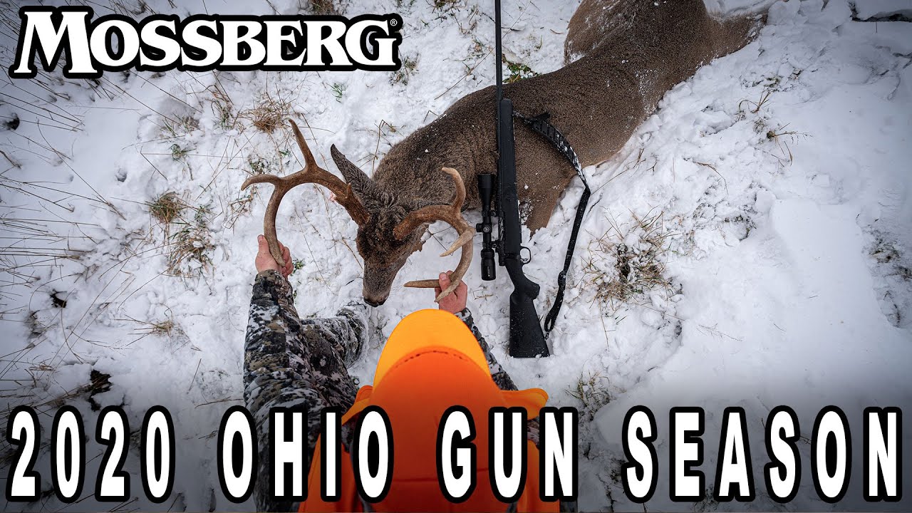 .350 LEGEND OHIO DEER HUNT Whitetail Collective YouTube
