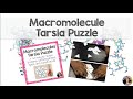 Macromolecules Puzzle