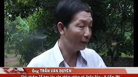 Hiệu quả nâng cao từ mô hình tưới nước tiết kiệm