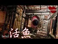 【心霊】関東最恐の心スポにライト無しで挑んだ結果【ホテル活魚】