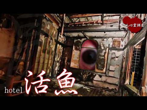 【心霊】関東最恐の心スポにライト無しで挑んだ結果【ホテル活魚】